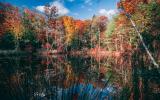 cabin, barn, lake, water, rural, country, wooded, deck, 