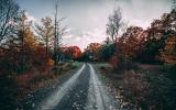 cabin, barn, lake, water, rural, country, wooded, deck, 