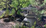 garden, zen, bridge, wooded, 