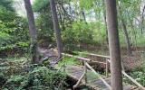 garden, zen, bridge, wooded, 