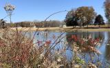 farmhouse, farm, rural, country, field, lake, barn, porch, 