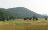 country, farm, horse, rustic, field, barn, 