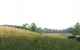 country, farm, horse, rustic, field, barn, 