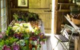 farm, greenhouse, field, rural, country, kitchen, 