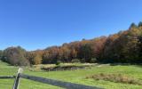 horse, farm, barn, stable, rural, field, lake, 