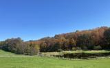 horse, farm, barn, stable, rural, field, lake, 