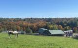 horse, farm, barn, stable, rural, field, lake, 