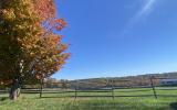 horse, farm, barn, stable, rural, field, lake, 