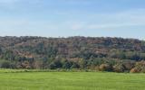 horse, farm, barn, stable, rural, field, lake, 