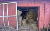 horse, farm, barn, stable, rural, field, lake, 