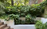 brownstone, townhouse, staircase, light, airy, upscale, bathroom, kitchen, 