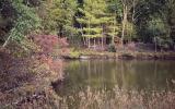 cabin, barn, lake, water, rural, country, wooded, deck, 