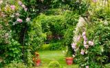 farm, greenhouse, field, rural, country, kitchen, 