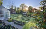 farm, greenhouse, field, rural, country, 