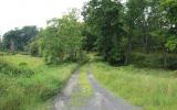 country, farm, horse, rustic, field, barn, 