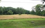 country, farm, horse, rustic, field, barn, 