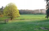 country, farm, horse, rustic, field, barn, 