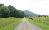 country, farm, horse, rustic, field, barn, 