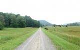 country, farm, horse, rustic, field, barn, 