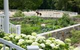 farm, stable, horse, pool, shingled, deck, kitchen, upscale, 