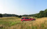 country, farm, horse, rustic, field, barn, 