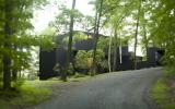 modern, contemporary, pool, bar, patio, wooded, fireplace, pool table, deck, 