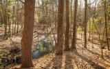 cabin, lake, rural, country, 